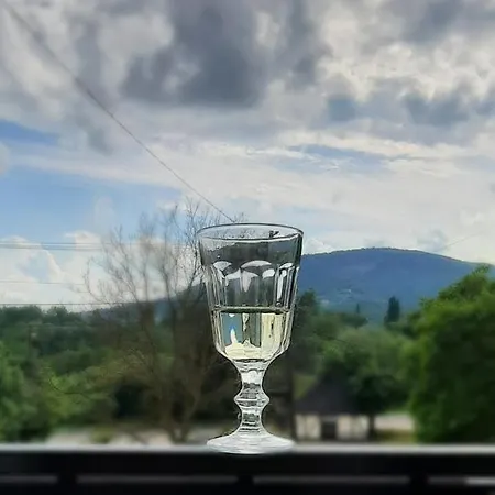 Vulcanus Apartament