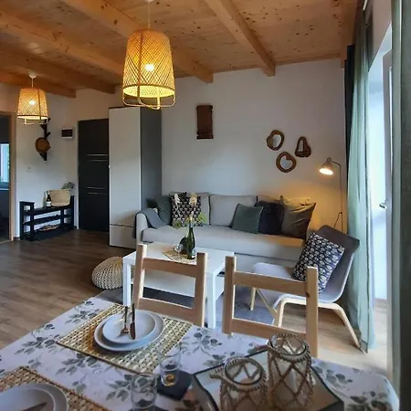 Vulcanus Apartament